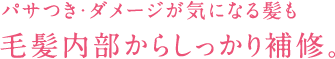 パサつき・ダメージが気になる髪も 毛髪内部からしっかり補修。